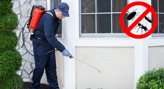 Kızıltepe Dezenfeksiyon böcek ilaçlama ve haşere kontrolü — ilaclama-tr.com